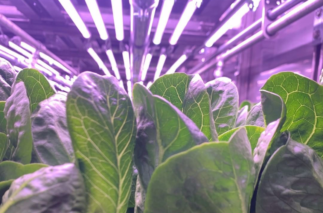 High intensity Horti-Tube Led Grow Lights for Vertical Farming